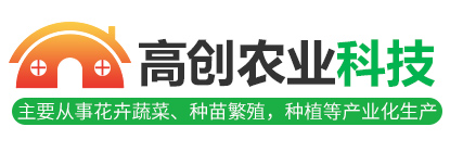 赫爾普
